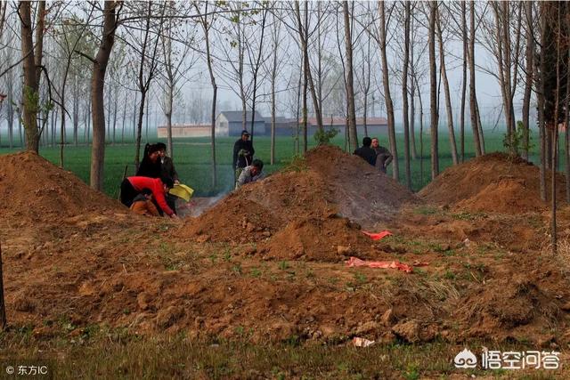 风水宝地下葬异象,为什么人死后下葬时要在死者口中放块玉？