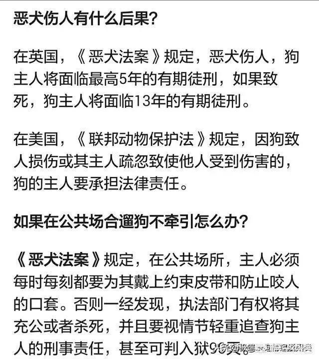 犬饲先生养狗记优酷:养的宠物狗被人下药毒死了，自己该怎么办？
