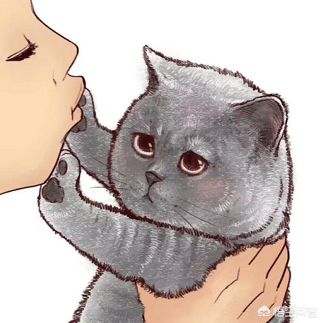 萨凡纳猫萌宠成长记:叙利亚总统阿萨德的两个妹妹为何身亡？凶手是谁呢？