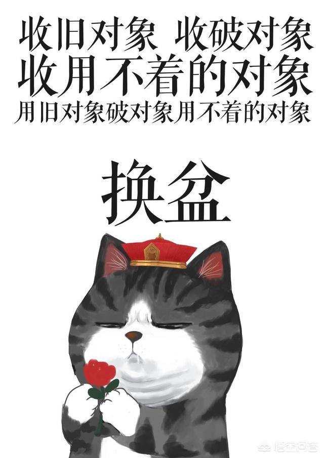 有没有能逗女朋友开心的套路、图片等方法？
