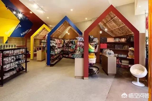 宠物店管理系统介绍:宠物店怎么对员工进行系统的培训？