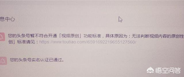 萌猫红小胖万多福开心果幕后花絮:你觉得中国哪一部茅山道术片，拍的相当成功？