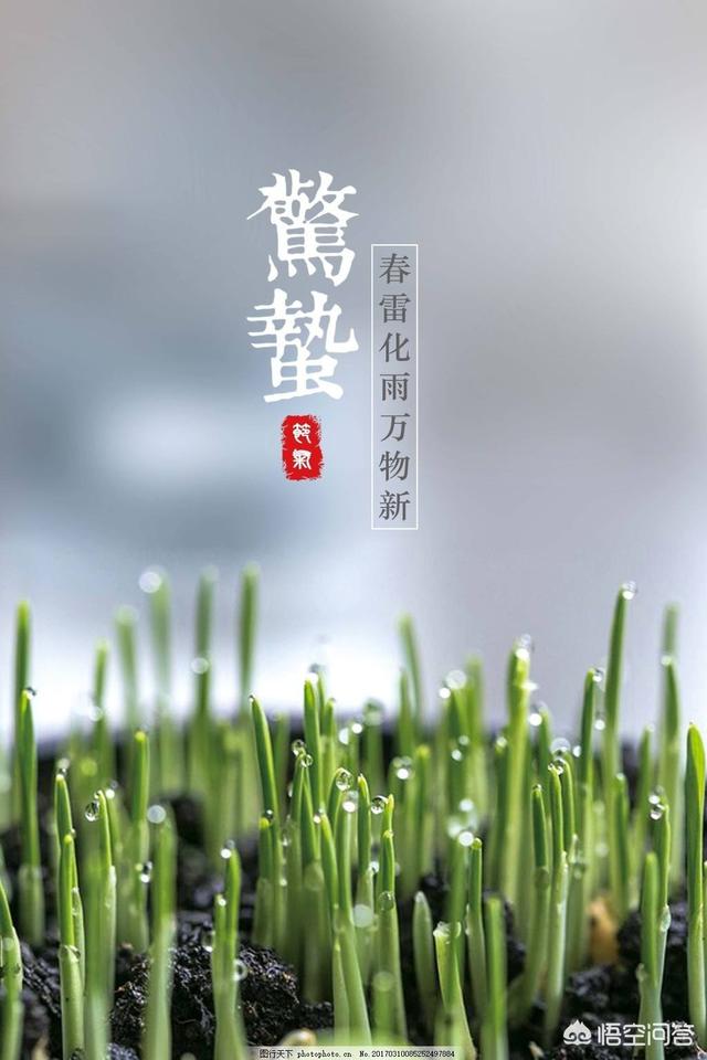 山区打雷灵异事件:在农村有这样的说法：打雷下雨天，不能在水田里干农活，为什么？