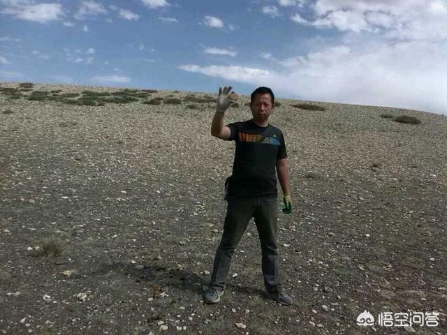 怎么判断翡翠已经戴活了,怎么看翡翠手镯种老和种嫩？