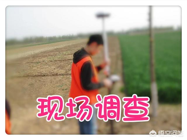 户口是城镇人，在农村一直没有离开，土地怎样确权呢？请解答？