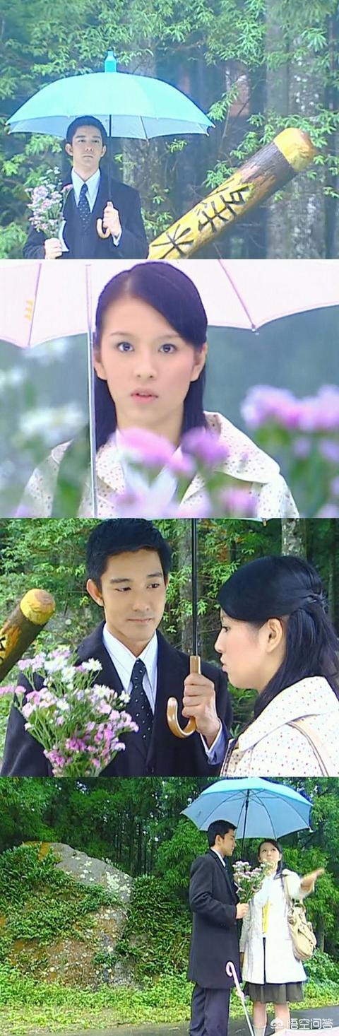 立威廉主演的电视剧:王岳伦作为导演，他有什么出名的作品吗？