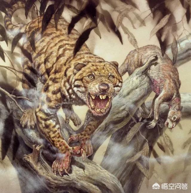 恐龙灭绝后人类出现前的地球，曾经出现过哪些生物圈霸主？