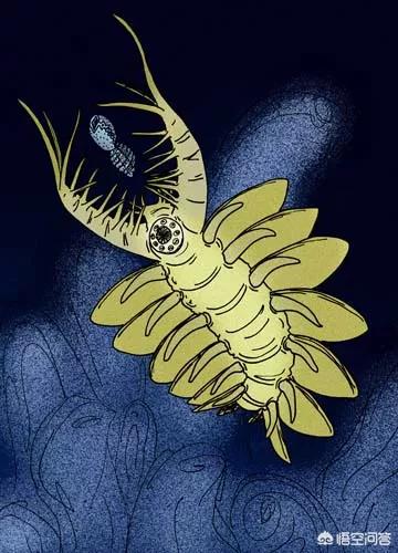 宣扬爪虫似皮托虫海神盔虾我们平常所说的奇虾是指恐虾纲奇虾亚目奇虾