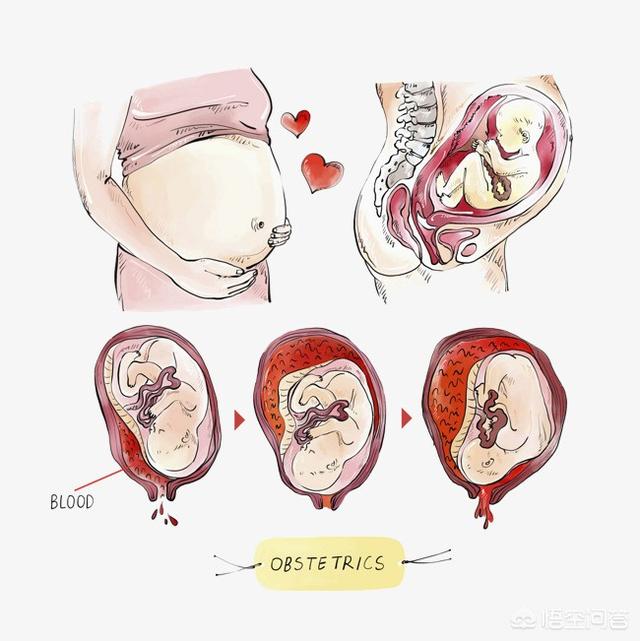 怀孕和孕前都要检查什么？