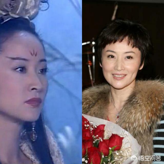 苏有朋怎么了:你是否喜欢苏有朋，该如何评价他？