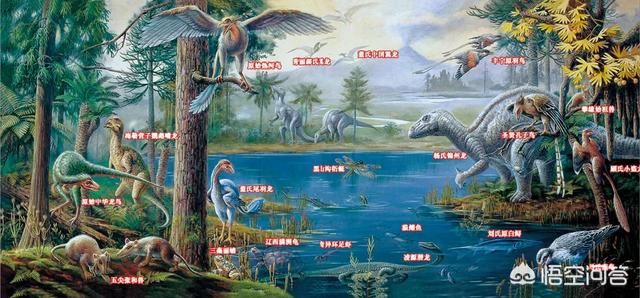孔子鸟和中华龙鸟:中国有什么著名的恐龙发现地？发现什么恐龙？
