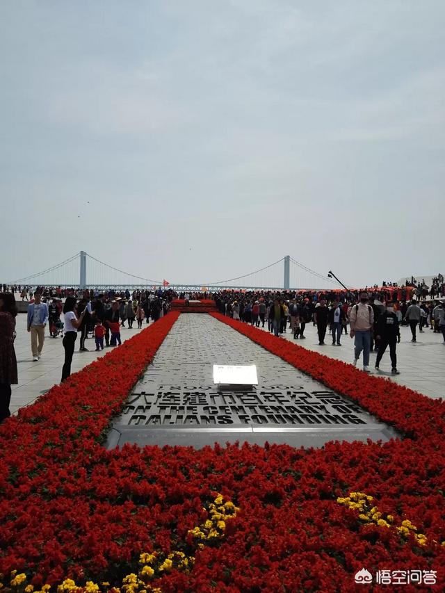 格陵兰海豹事件:大连：61头被盗捕野生斑海豹全部放归大海, 你怎么看？
