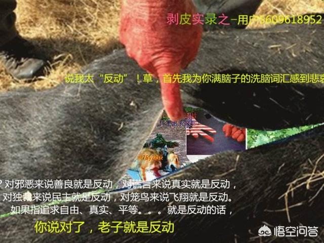 关于灵丘疯狗咬人:狂犬疫苗造假算不算故意杀人罪？