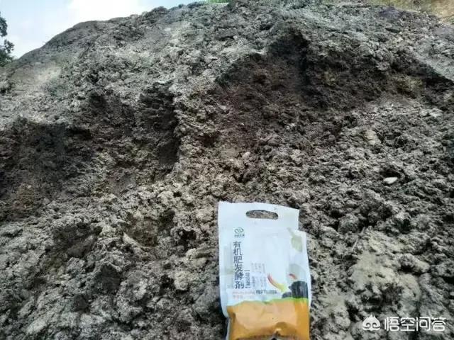 酵素菌发酵猪粪技术:生猪养猪场，粪便简易发酵最实惠、最省事的办法是什么？