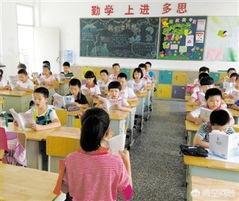 高清报告狗班长1:如何提高金毛犬对主人的服从性？
