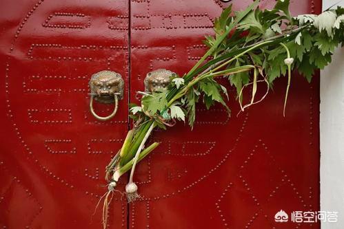 端午节门上插柳枝有何寓意