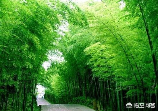 用一句话证明自己家乡风景优美,这句话怎么说？
