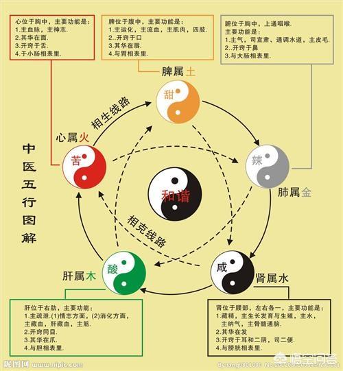 中国的五行是怎么得出来的？插图7