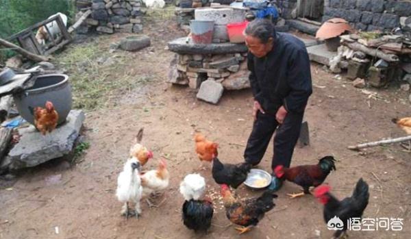 金婚老人晒幸福:假如我们都老了，你还愿意来一场美丽的“金婚”吗