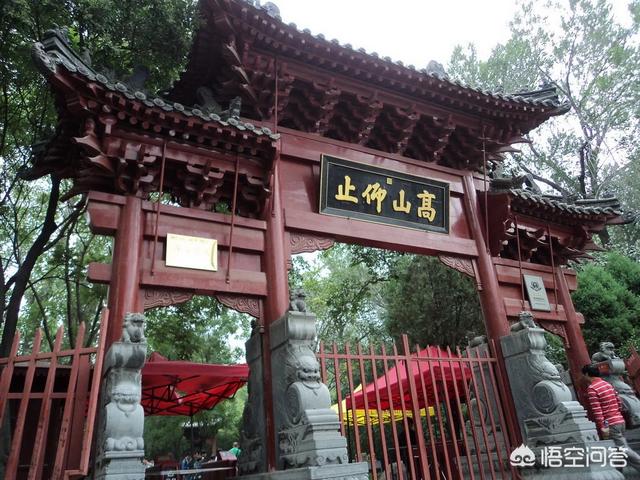 郑维山:大家对河南男人印象是什么？