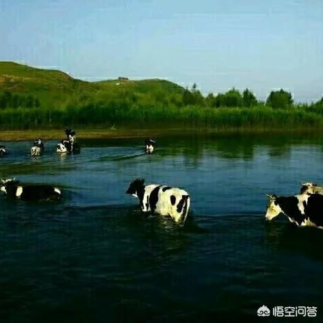 内蒙古呼和浩特<a href=https://maguai.com/list/52-0-0.html target=_blank class=infotextkey>旅游</a>攻略:呼市市内有什么好玩的地方？