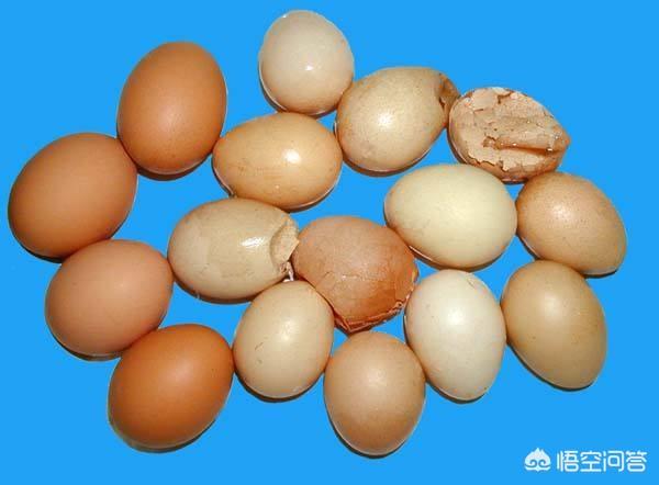 蛋鸡缺盐的症状:蛋鸡破损率增加，软壳蛋、薄壳蛋症状，该如何管理治疗？