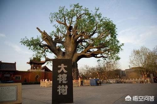 山东人闯关东后为何没保留住自己的方言，而东北方言又是如何起源的？插图19