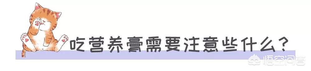 宠儿香猫咪营养膏:猫咪一定要吃营养膏吗?不吃可不可以？