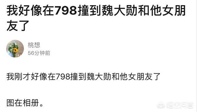 杨幂魏大勋宣布领证:杨幂和魏大勋疑似在一起，应该引起我们什么反思？