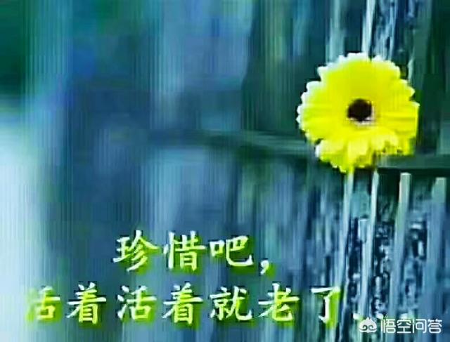 适合发<a href=https://maguai.com/list/256-0-0.html target=_blank class=infotextkey>朋友圈</a>的短句子伤感:有哪些句句心痛的伤感短句子？