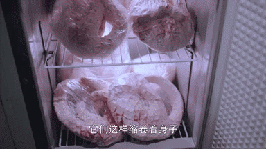 莫格利:《我的莫格利男孩》设计师任何为什么会去抄袭