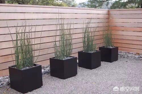 怎么做院子围墙又便宜又好看？插图47