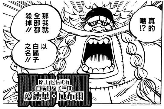 爱德华弗朗:《海贼王》七武海解散后，黑胡子能招到几个七武海
