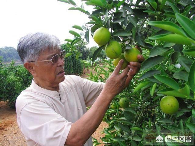 40岁出来单干还成功的牛人有哪些？