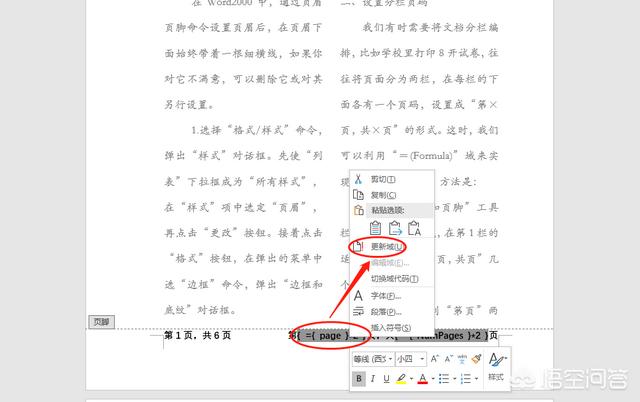 word页码设置第几页共几页,word分两栏后如何设置每栏的页码