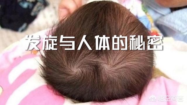 为什么有的人头上有2个旋,有的人只有1个？