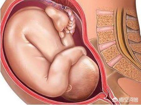 怀孕38周出生宝宝算足月了吗?-惠修网