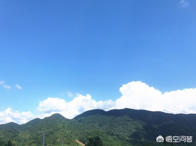 用什么方法可以去掉头发上的虱子？
