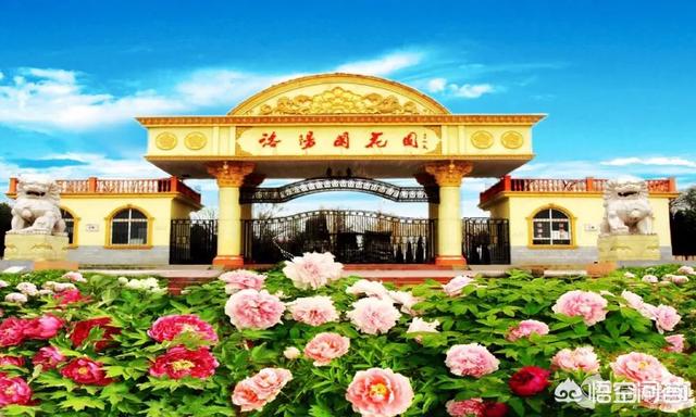洛阳周边游:洛阳市周边有哪些好玩的地方？
