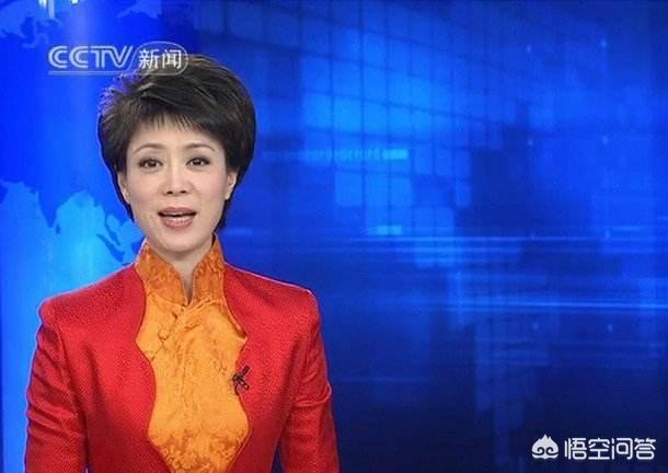 主持人文静:如何评价央视主持人文静？