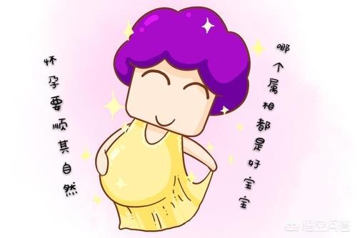 母猪生小孩:为什么说今年是生育高峰年有什么寓意你会选择跟风要孩子吗