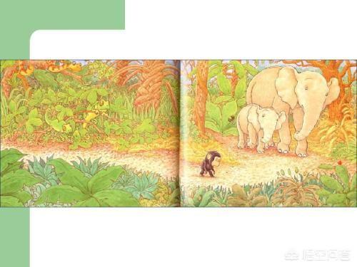 适合2-3岁儿童的绘本有哪些，适合2-3岁儿童的绘本有哪些