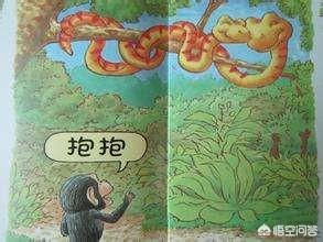 适合2-3岁儿童的绘本有哪些，适合2-3岁儿童的绘本有哪些