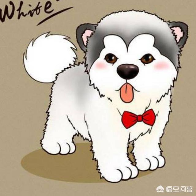 人奶喂狗的小说:狗狗去世的那晚，自己如何做的（这个话题有些会勾起回忆）？
