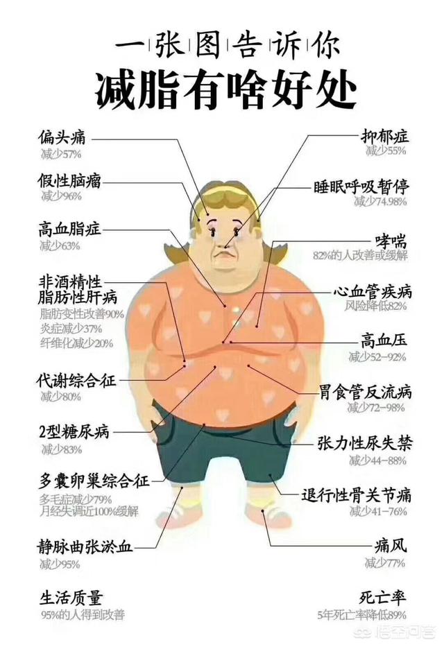 (6个回答)