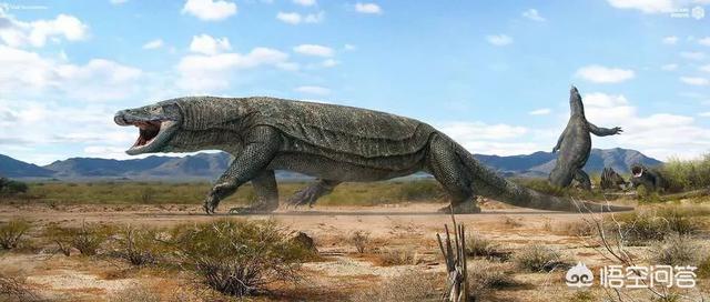 世界上最后一只龙，恐龙灭绝后人类出现前的地球，曾经出现过哪些生物圈霸主