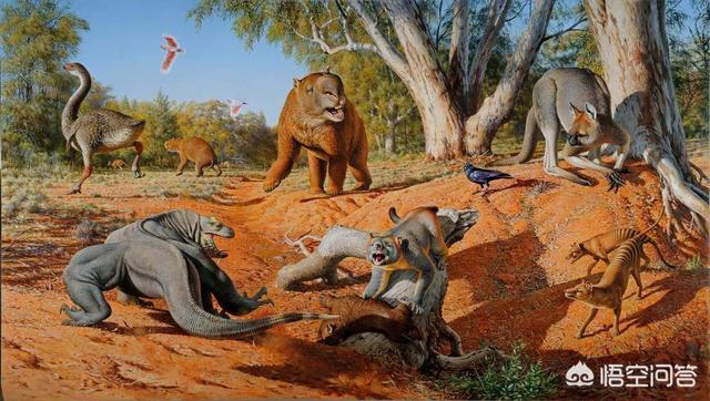十大灭绝的可怕古生物，恐龙灭绝后人类出现前的地球，曾经出现过哪些生物圈霸主