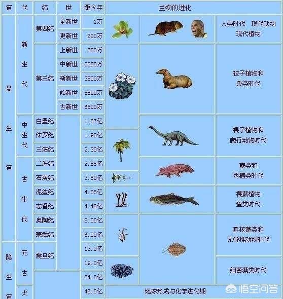 头条问答 - 为什么大部分动物都是1个鼻子,1张嘴2