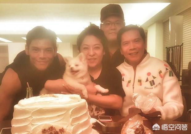 杜雨露的儿子:向华强一共两个儿子，向佐和向佑。为何差别这么大？