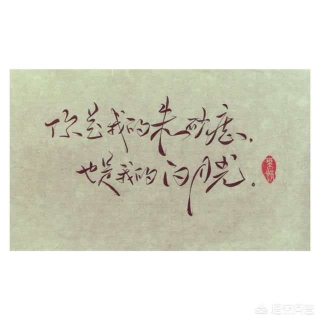 白月光朱砂痣是你:“多日不见，梦中再见”。以为着什么